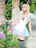 cosplay套图 c78 NECOCO.in.Wonderland(27)